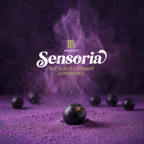 Black currant with 'Sensoria' branding on a purple background